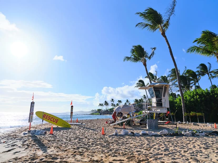 Kauai Bans Foam Bodyboards to Protect Marine Life