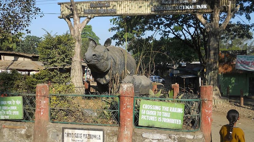 Wildlife vs. Highway: Assam's UNESCO Heritage at Risk