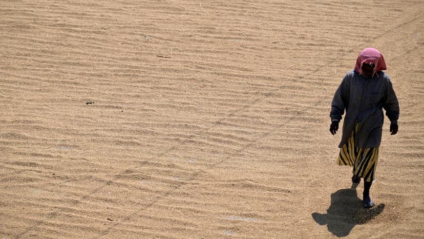 Kerala Swelters: Heatwave Grips State