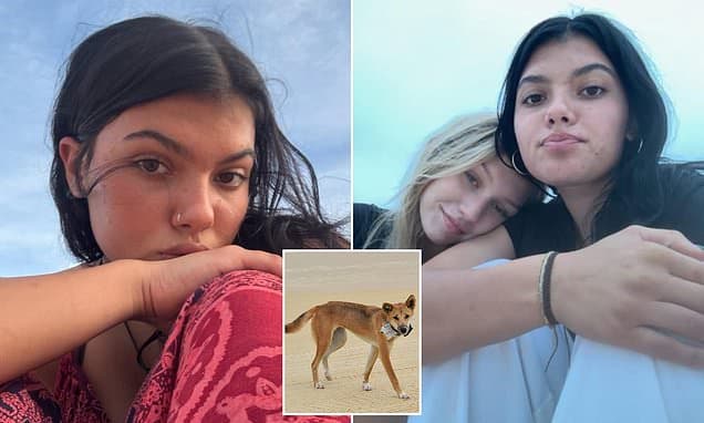 K'gari Island Tragedy: Teen's Autopsy Reveals Dingo Scars