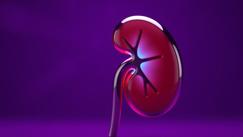 Kidney Vouchers: Hope for Transplant Families