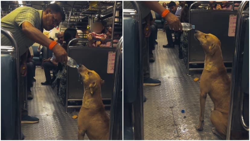 Kind Man Gives Water to Thirsty Dog on Mumbai Train