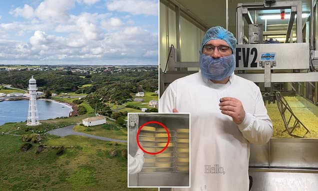 King Island Cheese: Australia's Cult Dairy Craze