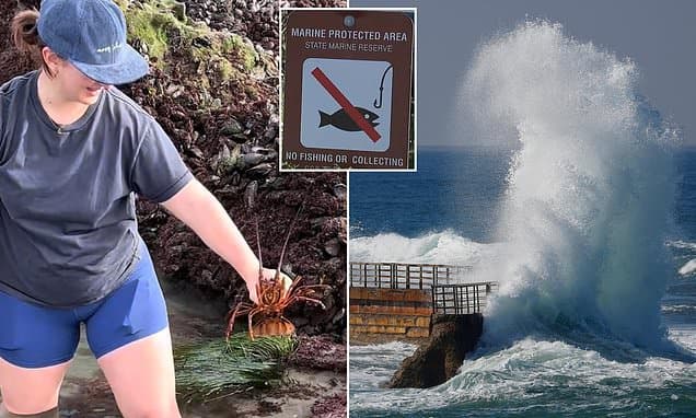Tourists Manhandle Marine Life During Rare King Tides