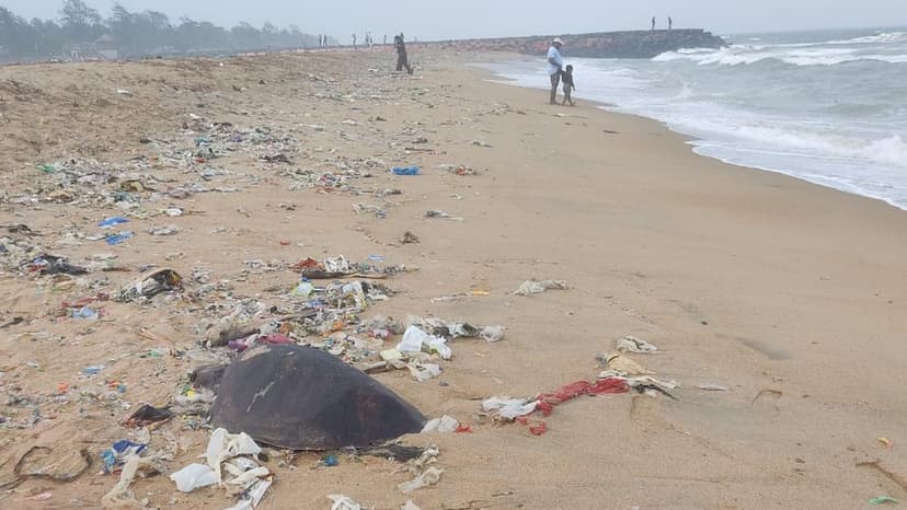 Kovalam Beach: Filth vs. Blue Flag Beauty