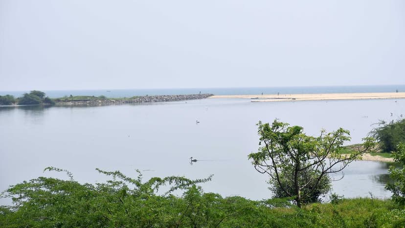 Fishermen Fight Estuary Project Over Livelihood Fears