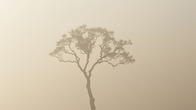 Kriti Sanon Blasts Delhi's Choking Air