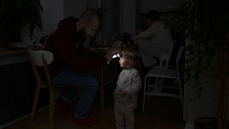 Kyiv Freezes: Cat Becomes a Living Hot Water Bottle