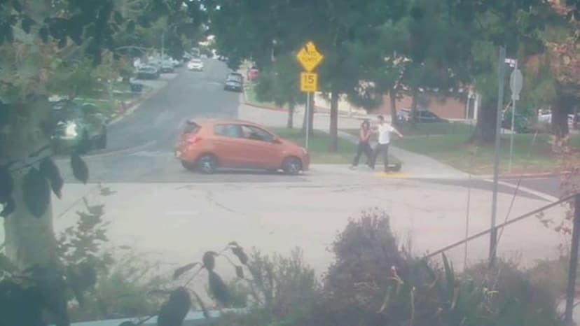 Car jumps curb in terrifying dog walk attack