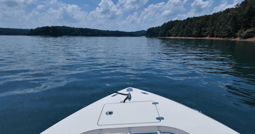 Lake Lanier Safety Blitz: DUI Patrols Amid Holiday Heat