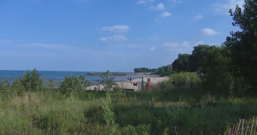 Lake Michigan Quakes: More Than Meets the Eye?