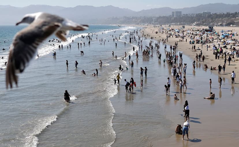 LA's Summer Swelter: Pacific Heat Wave Brings Unfamiliar Humidity