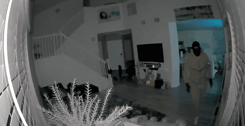 Designer Dreams Smashed: $70K Heist Leaves Family Devastated