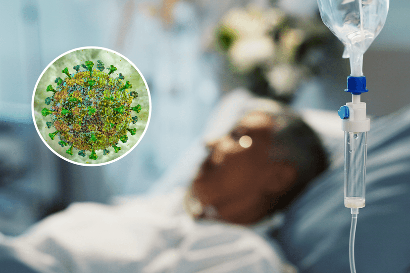 Lassa Fever: The Deadly Ebola-Like Threat Imported to US