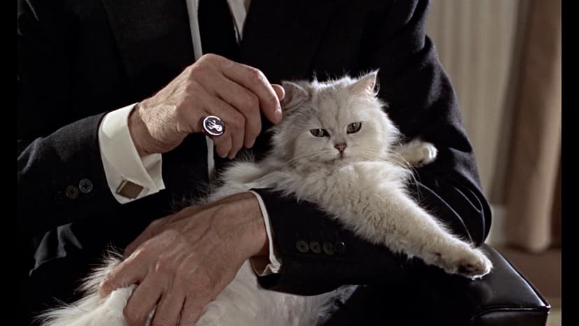 What Stars Watched Last: A New Historical Lens