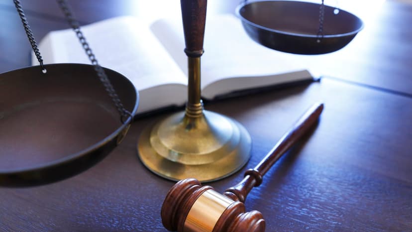 Laura Owens Pleads Guilty to Fraud, Perjury in Shocking Case