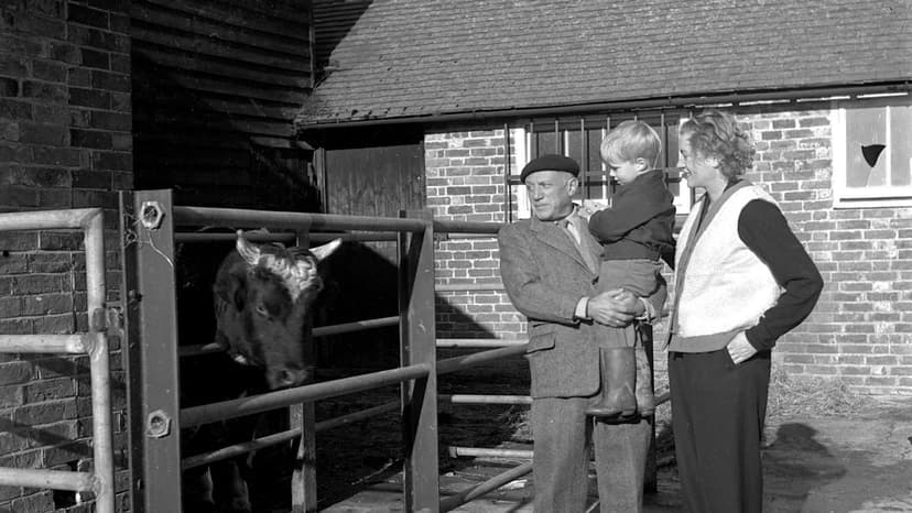 Lee Miller's Home Becomes Charity Haven