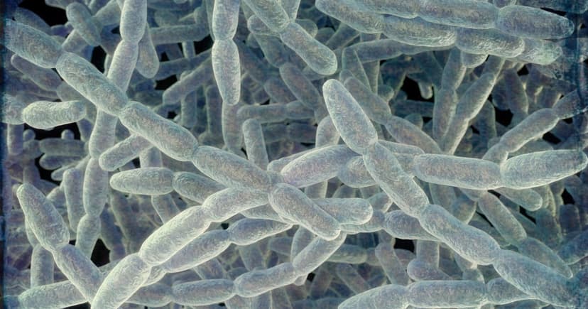 Michigan Courthouse Water Tainted with Legionella Bacteria