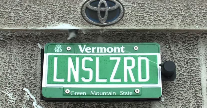 Lens Lizard: Auto Backup Camera Clean