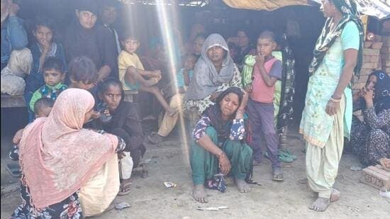 Leopard Kills Child Harvesting Wheat