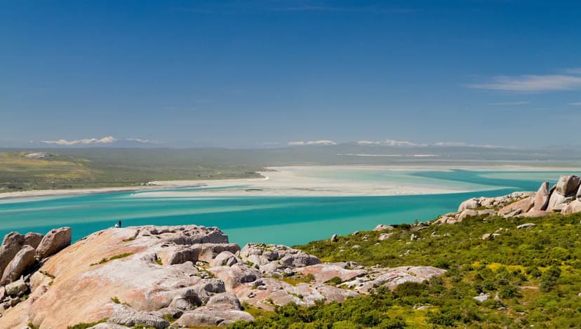 Leopard Returns: First Sighting in 170 Years!