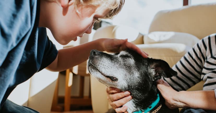 Dog Disease Lepto: A Silent Threat to Humans Too