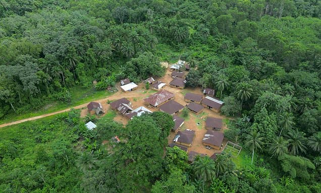 Liberia River Poisoned: Gold Mine Blamed