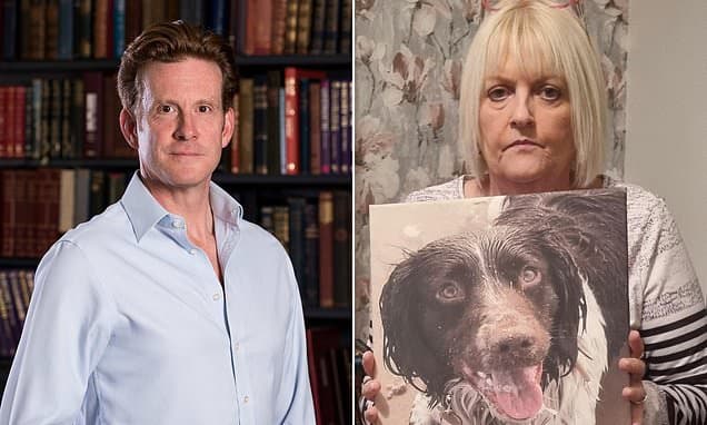 New Dog Drug Linked to Deaths: Vets Warn Owners