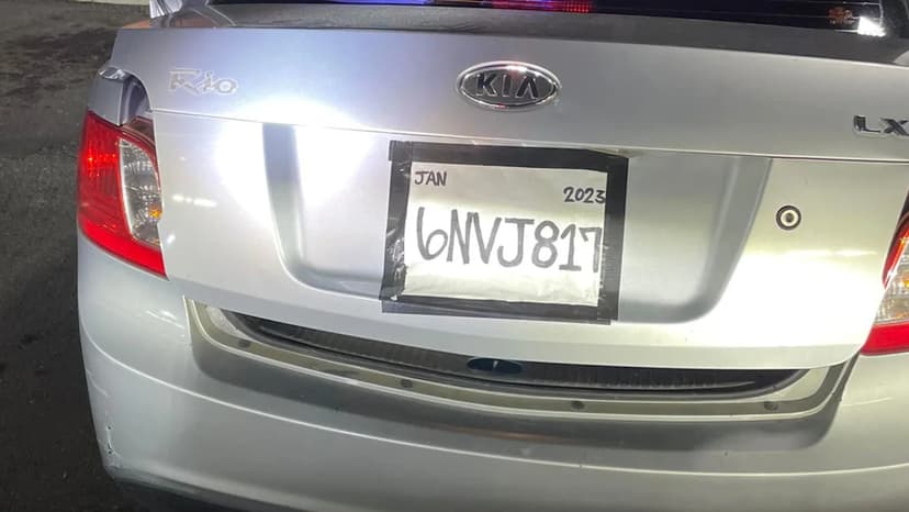 Fake Plates: The Evolving Business Model