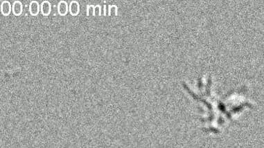 Scientists Find Life's Missing Link