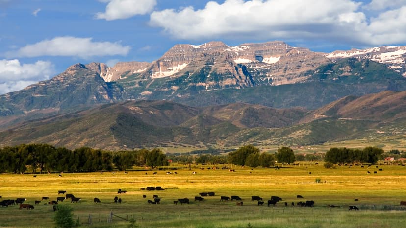Lightning Kills Teen Huddled in Utah Mountain Shack