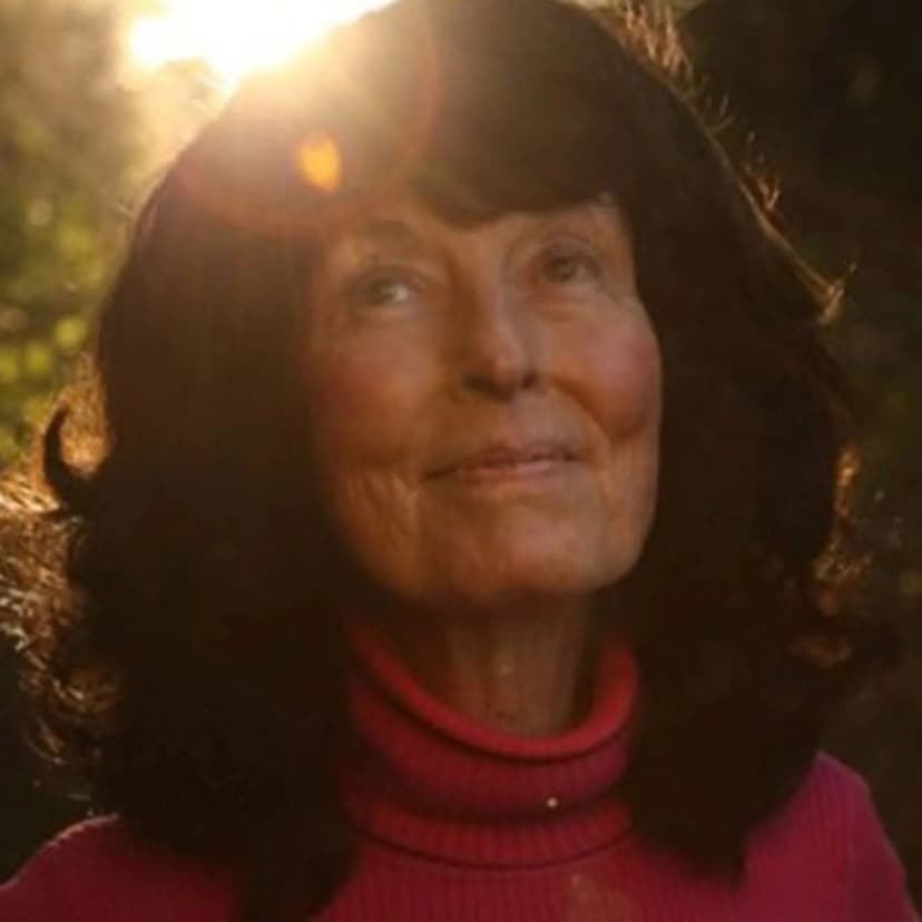 Folk Legend Linda Perhacs Missing After Care Facility Release