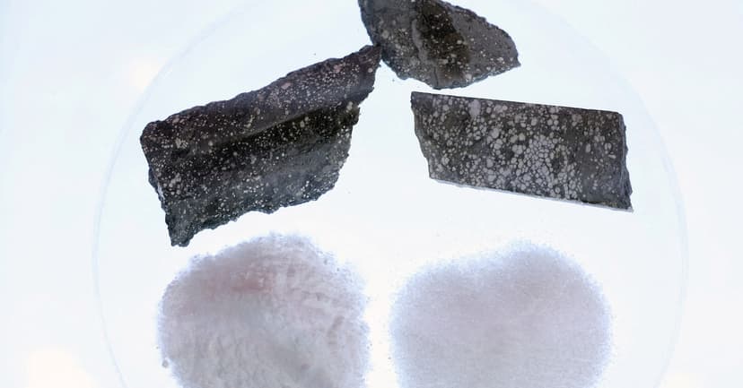 Lithium Market Rebound: Energy Storage Drives Demand