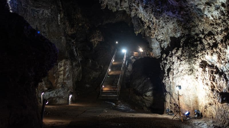 Little Foot's Face Revealed by Digital Magic