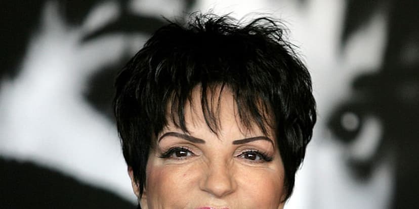 Liza Minnelli's Bold Dating Wishlist Revealed
