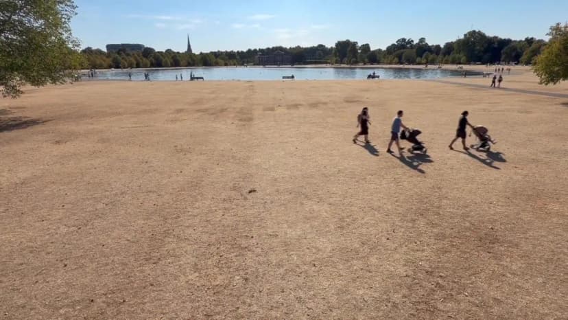 Londoners Urged: Let Cars Get Dirty Amidst Drought