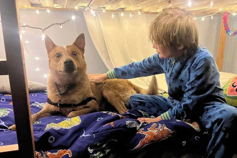 Family's 37-Day Search for Lost Dog Ends in Joyful Reunion