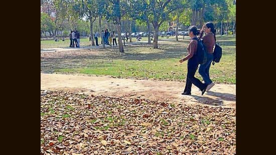 Ludhiana Shivers as Temp Plummets Post-Rainfall