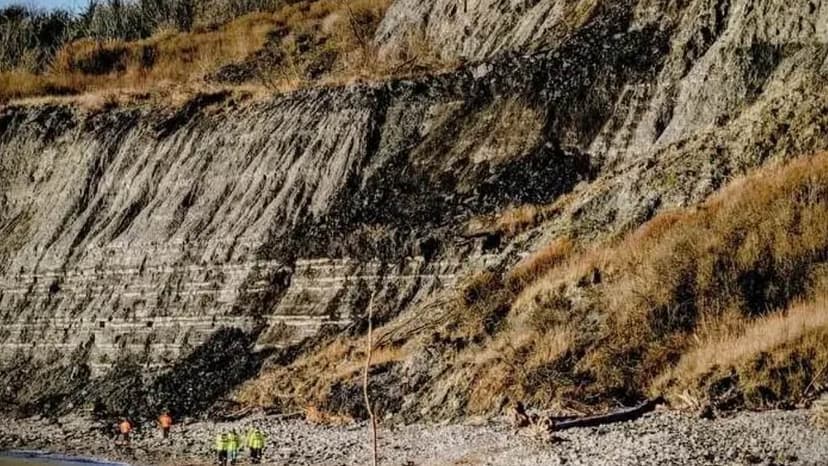 Active Landslip Forces Lyme Regis Beach Closure
