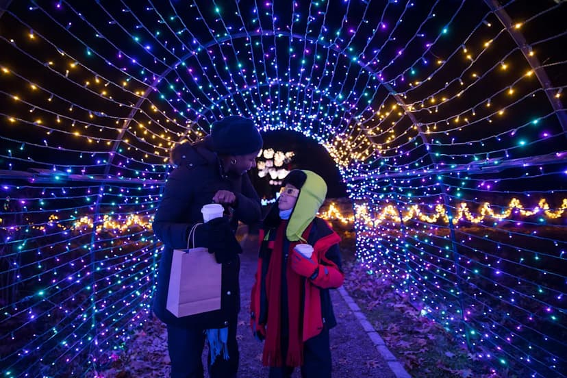 MA Lights Up: Dazzling Holiday Displays Across the State