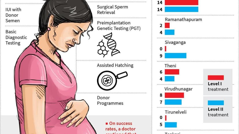 Madurai's Fertility Gap: Private Clinics Thrive, Public Hospitals Lag