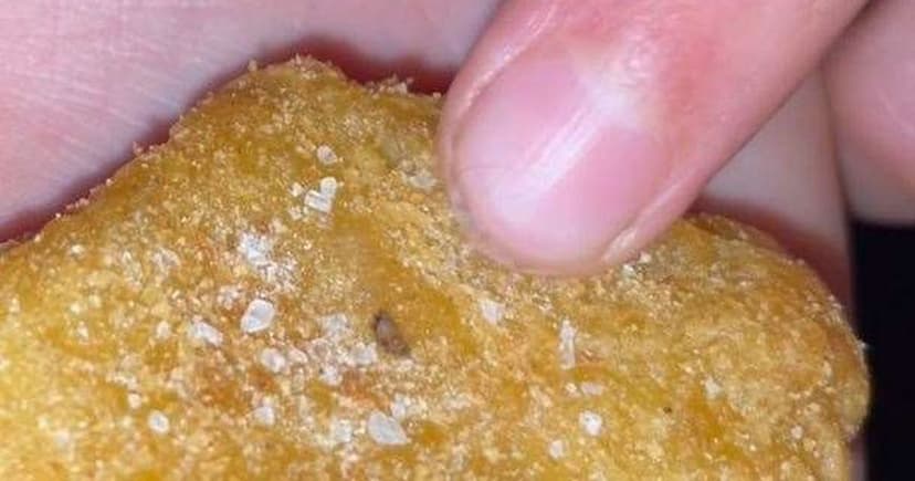 Maggots Found in McDonald's Nuggets, Family Sick