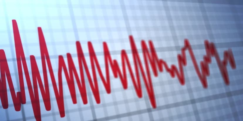 Magnitude 2.2 Quake Jolts South Carolina Town