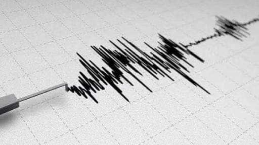 Magnitude 4.9 Quake Rocks Guerrero, Mexico