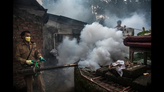 Dengue & Chikungunya Decline, Malaria Cases Rise Sharply