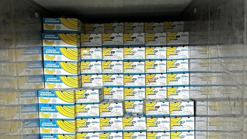 Bananas Go Global: Maharashtra FPC Ships 20 Tonnes to Dubai