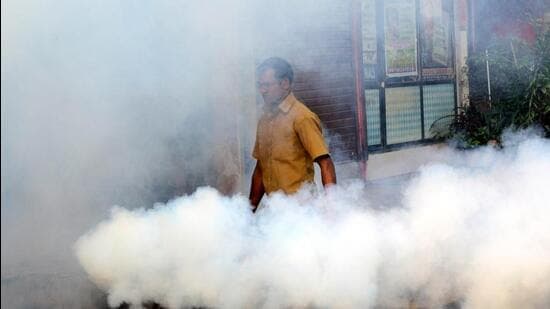 Maharashtra Prepares for Monsoon Disease Outbreaks