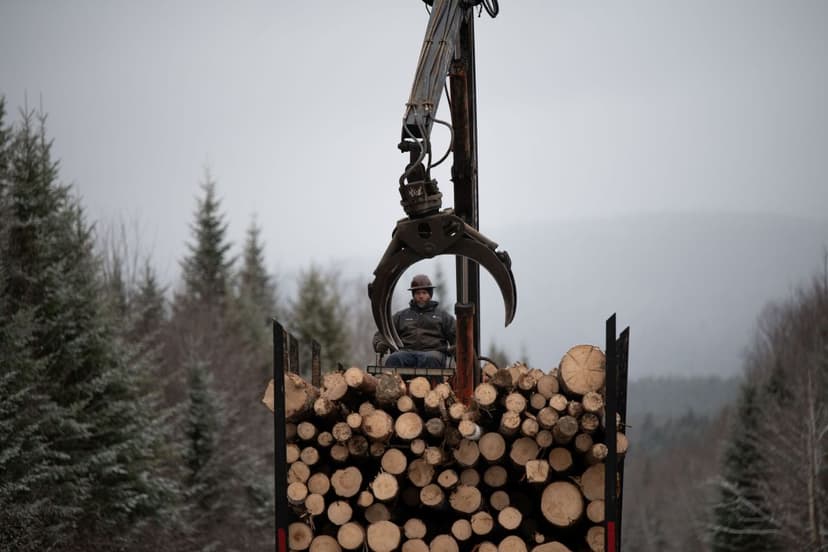 Maine Loggers Battle Tariffs, Falling Demand