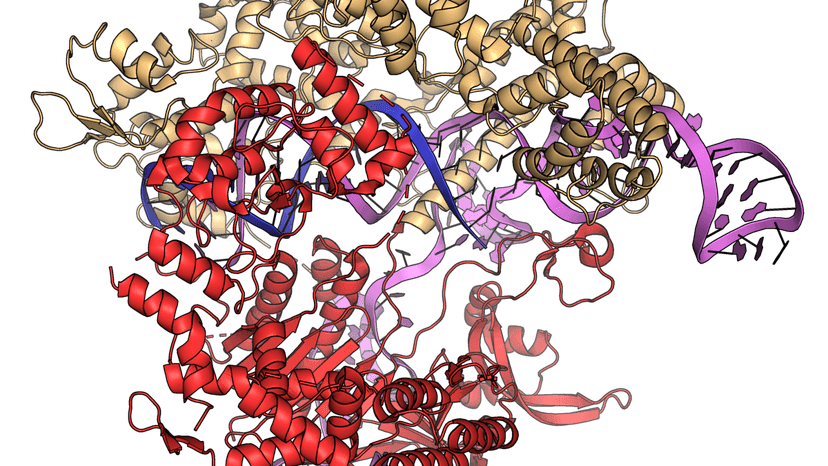 Malaria's Grip Tightens: Resistance Challenges Global Fight