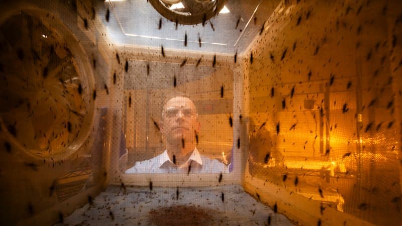 Breakthrough: Malaria Parasite Turned Into Vaccine
